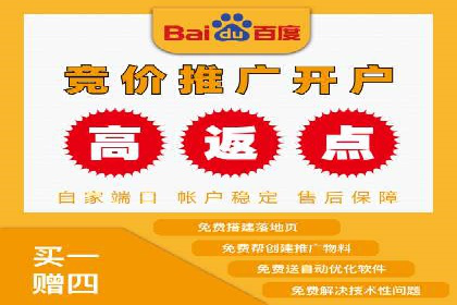 SEM广告案例：精准投放实现业绩增长